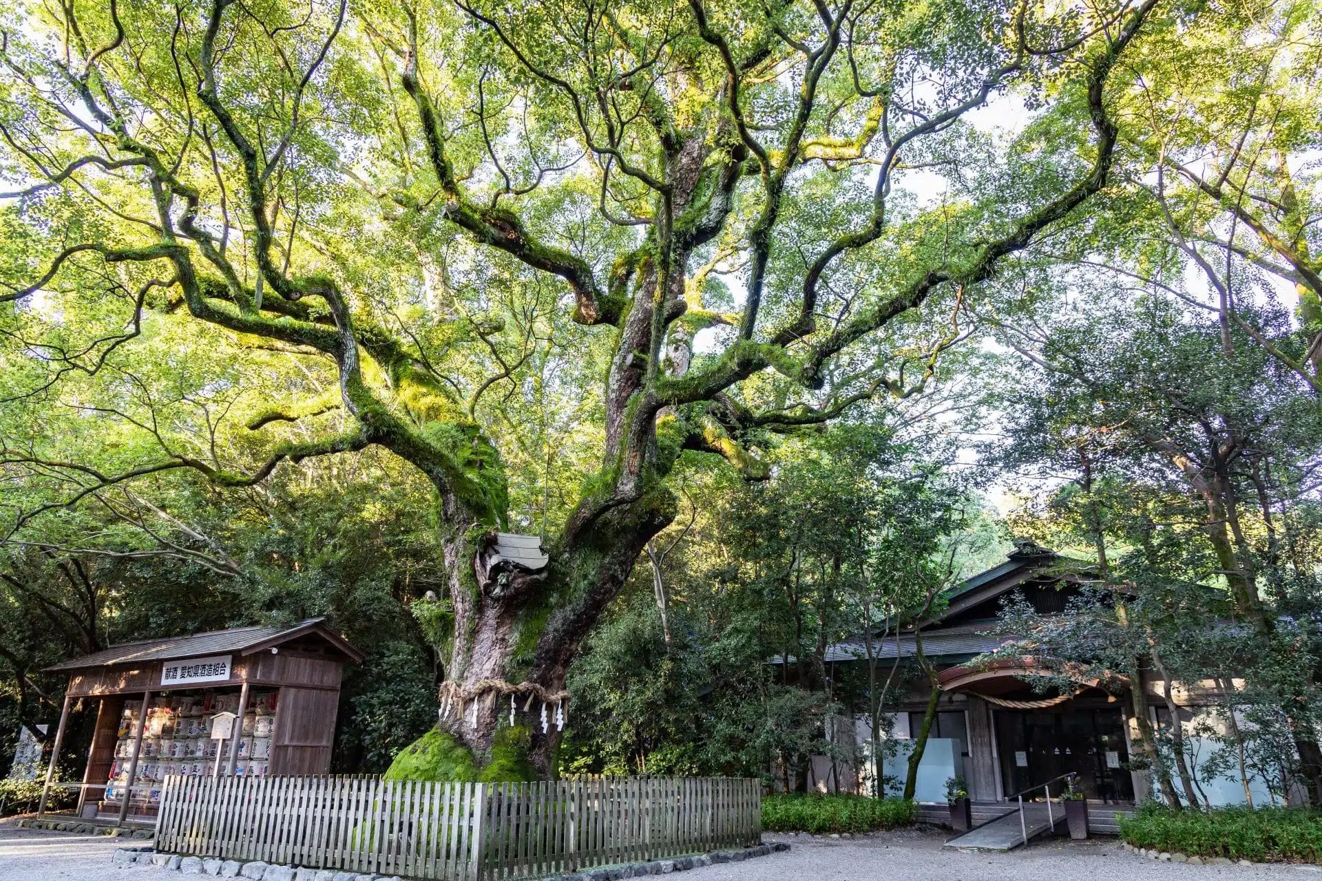 ⛩️ 겐다스가 신사(다케다스가 진자) 이미지 7